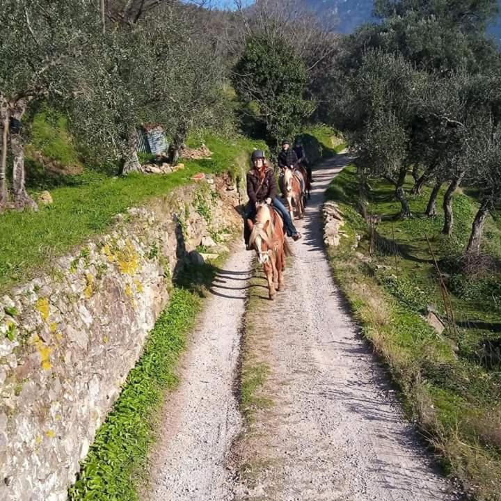 Villamorosa Calci Kültér fotó